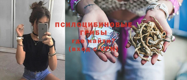 прущая мука Верея